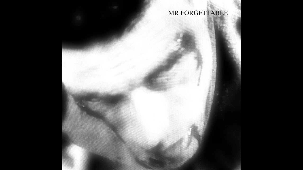 Mr Forgettable ( Hanan Stuart cover version )