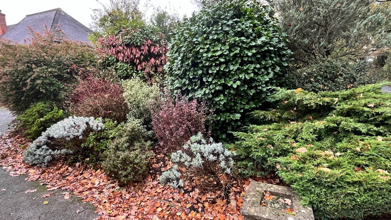 Very Damp Morning for Tidying Up this Border!