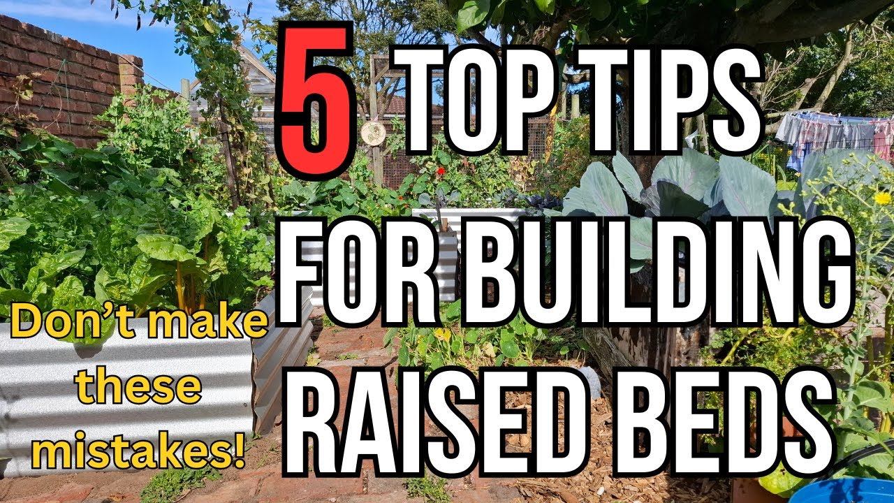 Top 5 Tips for Building Raised Beds