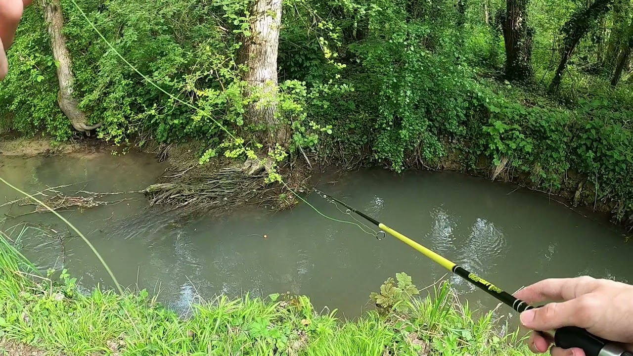 Pêche à la truite au bouchon/Toc
