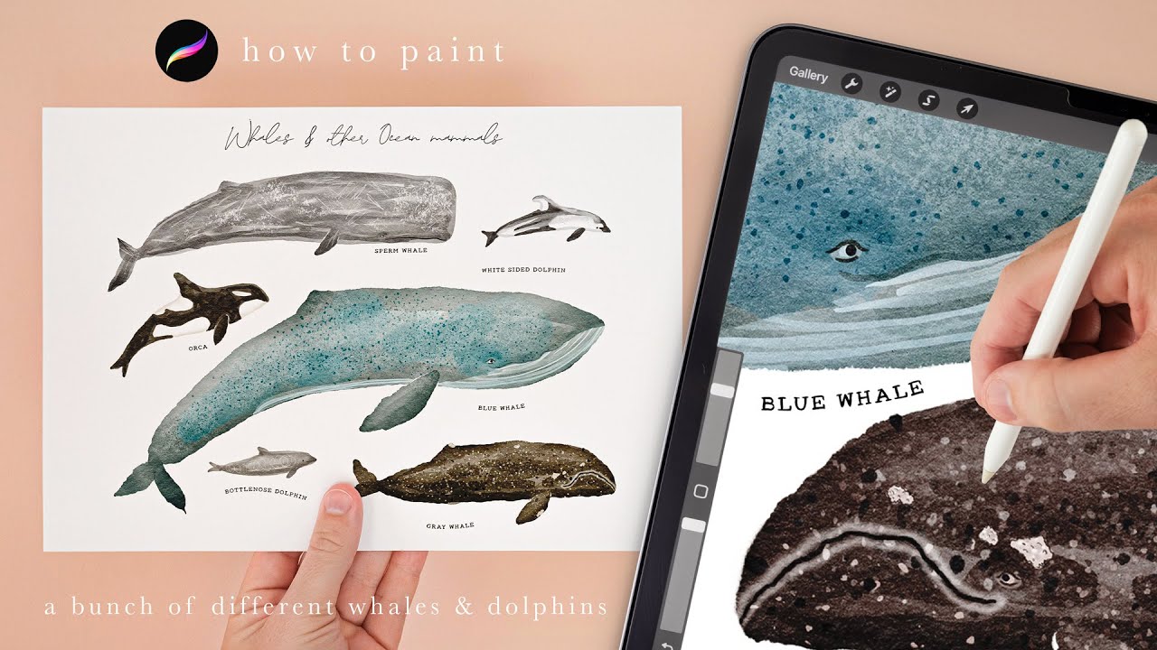paint whales and dolphins with me 😁 Illustration tutorial. Procreate tips and tricks for beginners