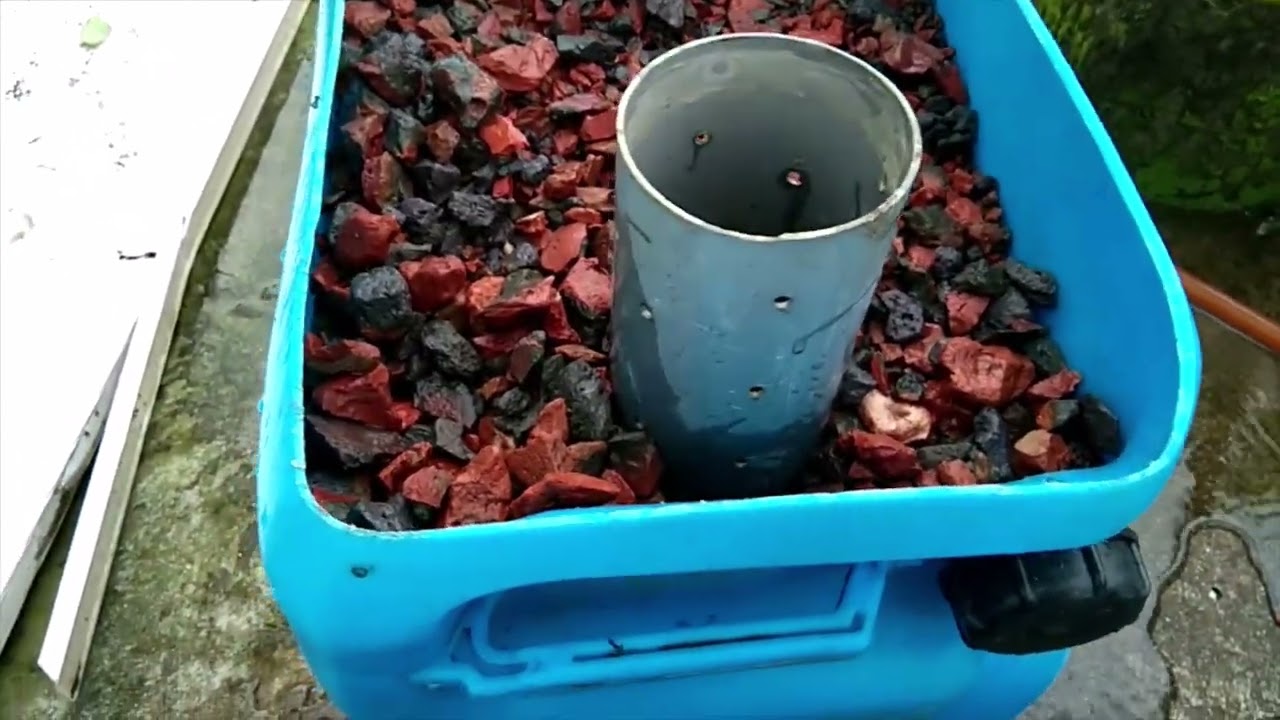Media Based BAU Aquaponics Set up