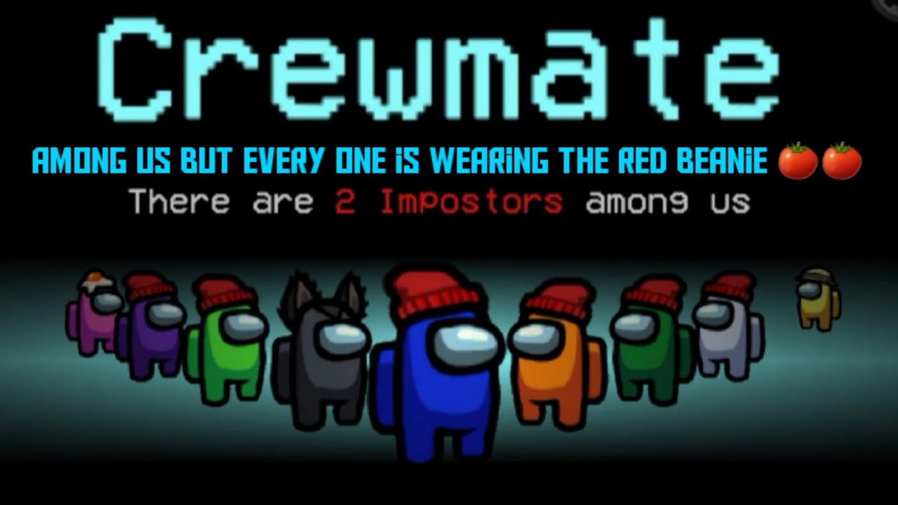 Among us but everyone is wearing the red beanie hat