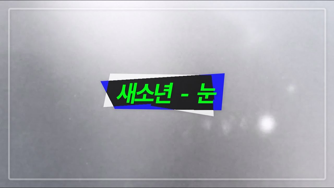 [1hour] 새소년 - 눈(Winter) 1시간