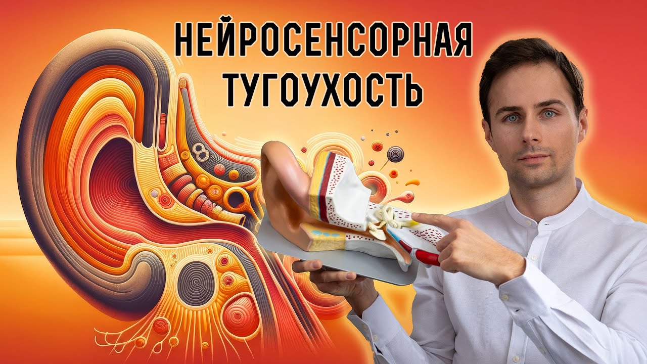 Самый частый тип снижения слуха | Сенсоневральная тугоухость. Диагностика, профилактика, лечение.