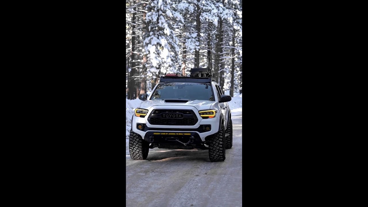 Toyota's winter magic: clean, sleek, and snow-proof ⛄❄️