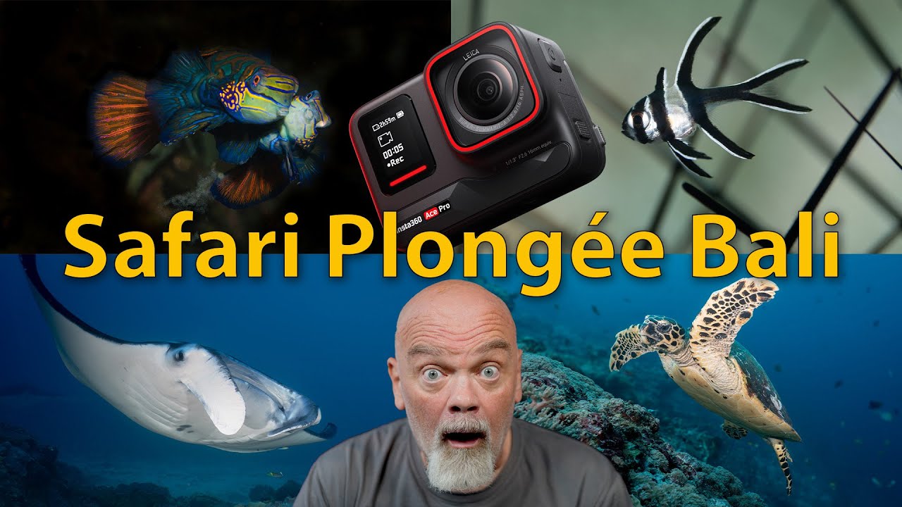 Safari Plongée Bali avec une Insta360 Ace Pro