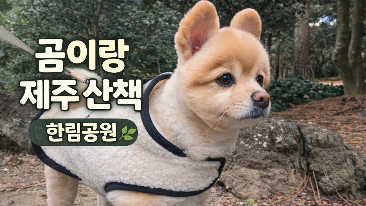 제주 한림공원 산책 브이로그🌿🐾ㅣ강아지 첫 공작새 반응🐶