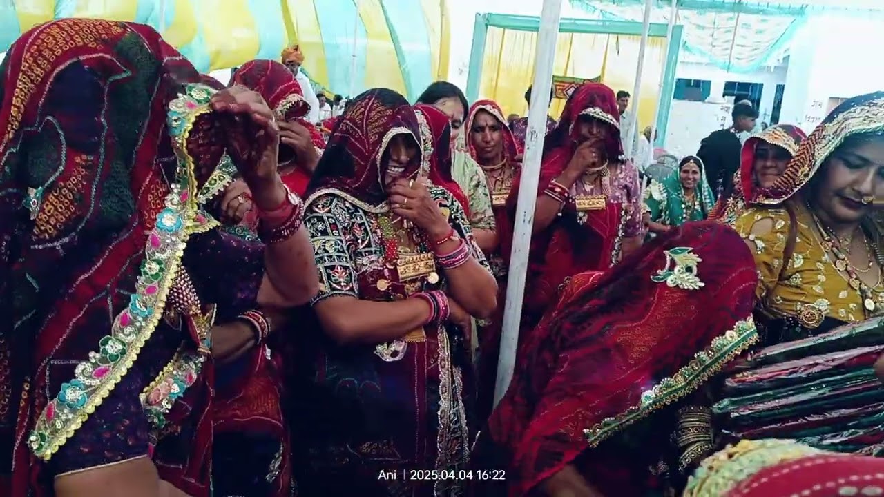 सग्यो ये थान थाना म बुलाव थानादार गीत #youtube #viral #videos #jaatniswag #shekhawatijatni #culture 