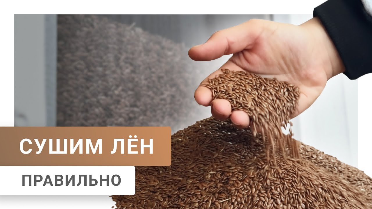 Сушка льна | Уборочная кампания 2025