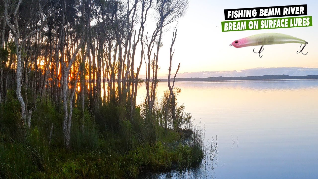 Bream on surface lures with a Daiwa Luvias LT at Bemm River