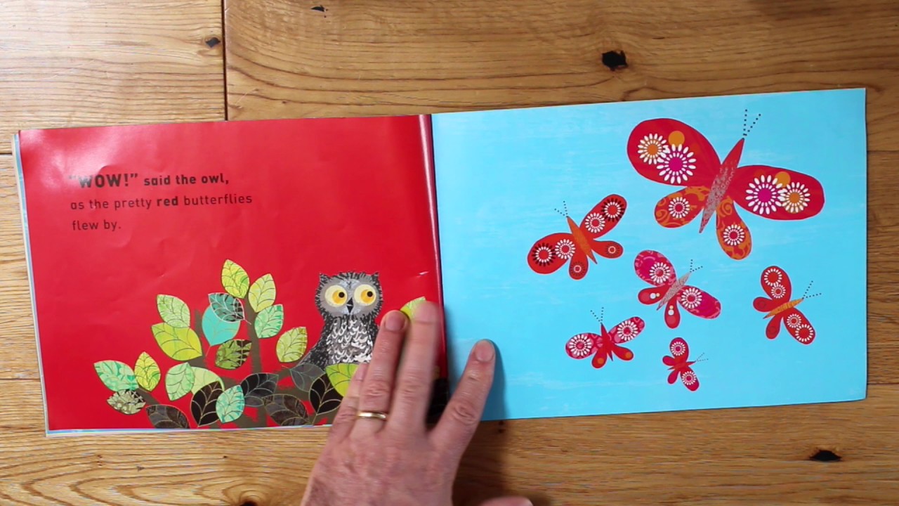 WOW SAID THE OWL by Tim Hopgood read aloud