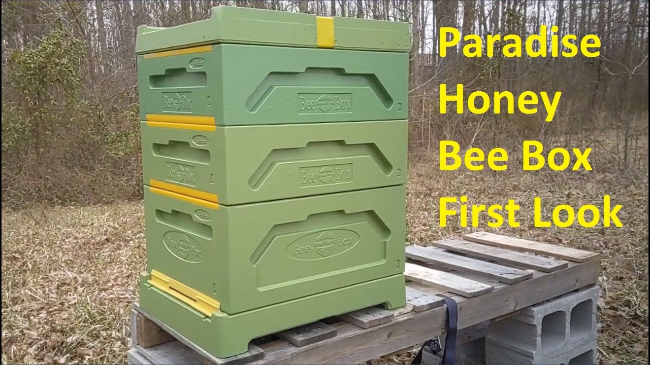 🐝 Первый взгляд на коробку Paradise Honey Bee 🐝