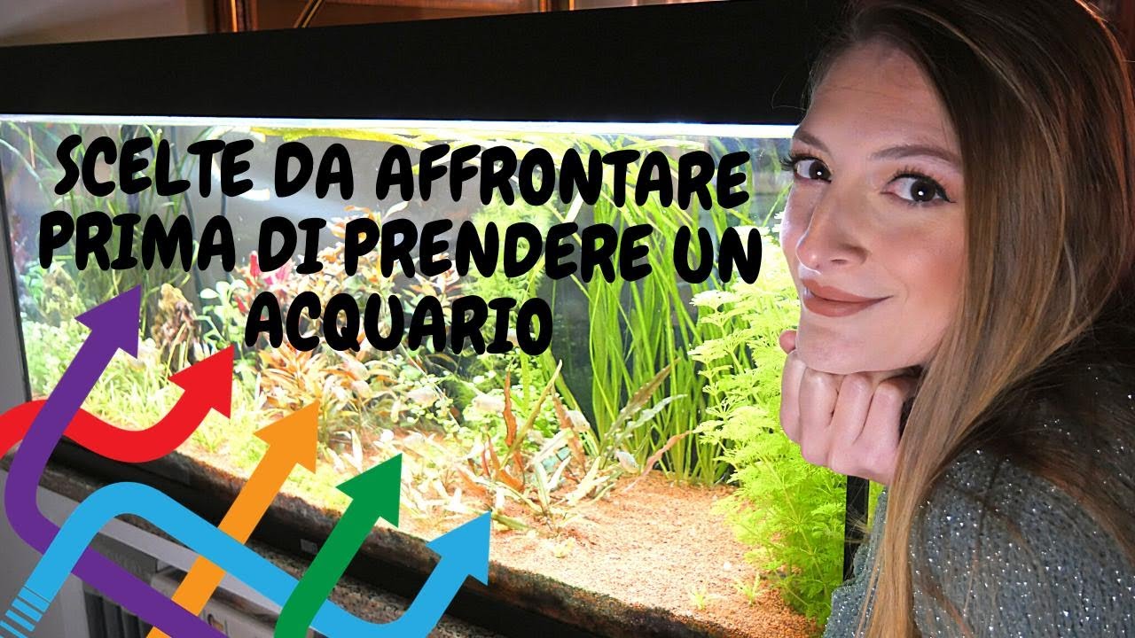 NUOVO ACQUARIO - le scelte importanti da fare prima dell'acquisto