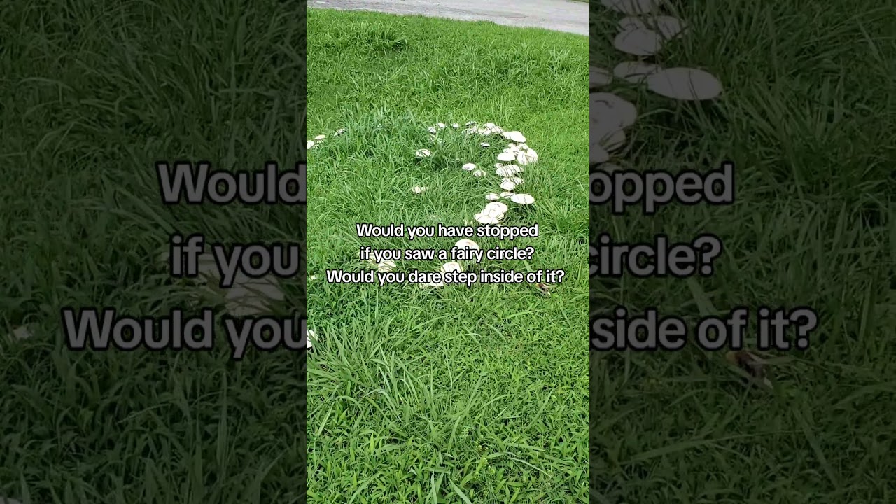 Fairy circle!  
