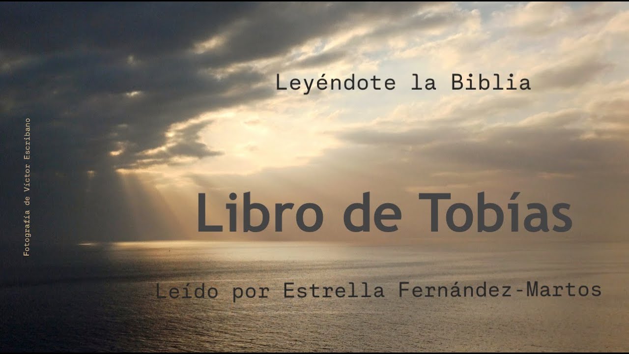17.  Libro de Tobías