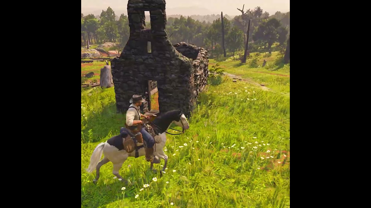 ESSE LUGAR É SINISTRO - RED DEAD REDEMPTION 2 