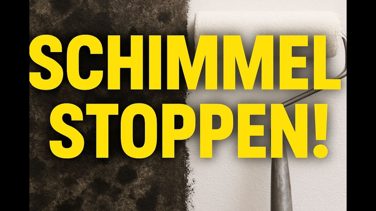 Anti Schimmel Farbe Test 2025▷ die besten 3 im Vergleich [+Vor- und Nachteile und Erfahrungen]