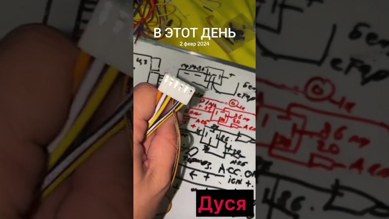 #дусяшым 
