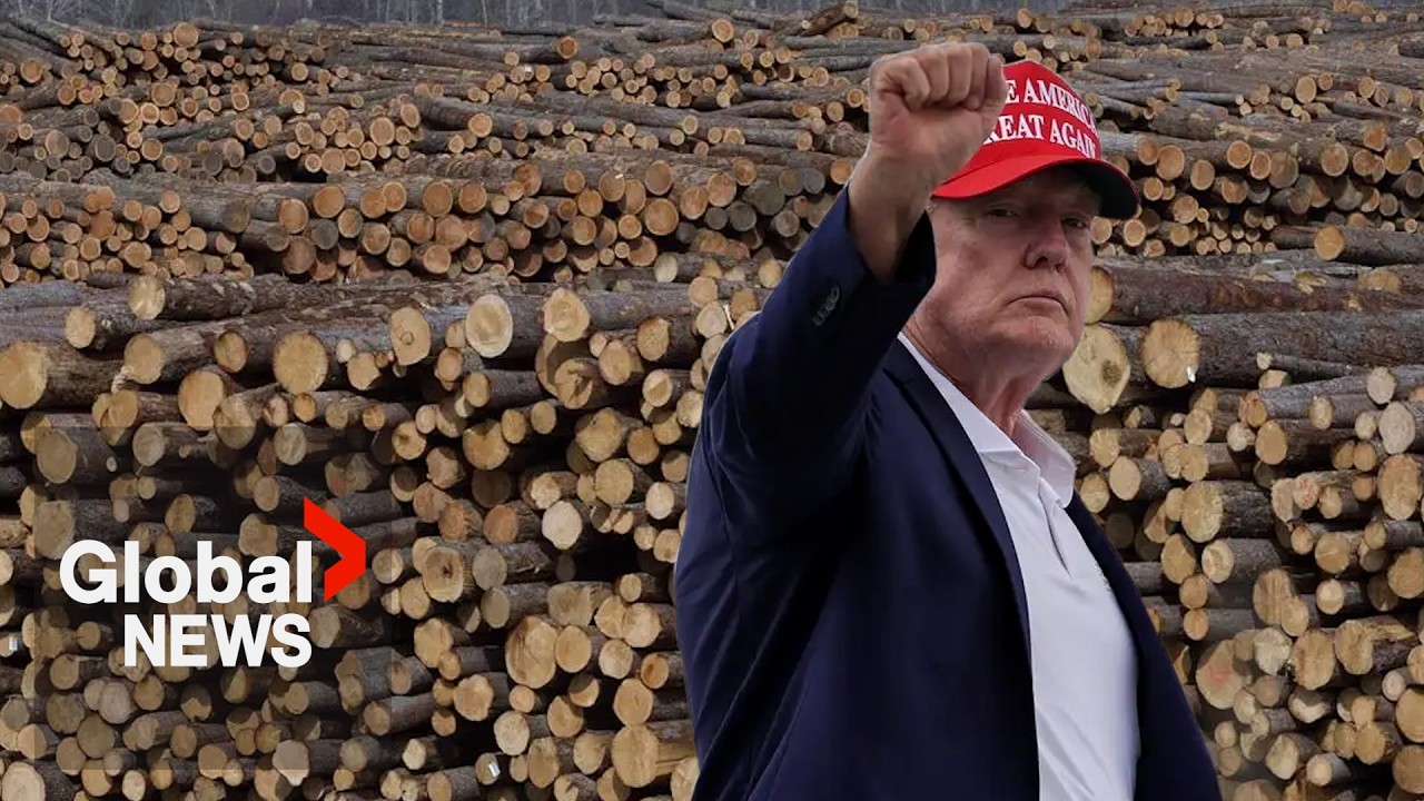 &ldquo;Not a margin we can absorb&rdquo;: BC plywood manufacturer braces for Trump tariff