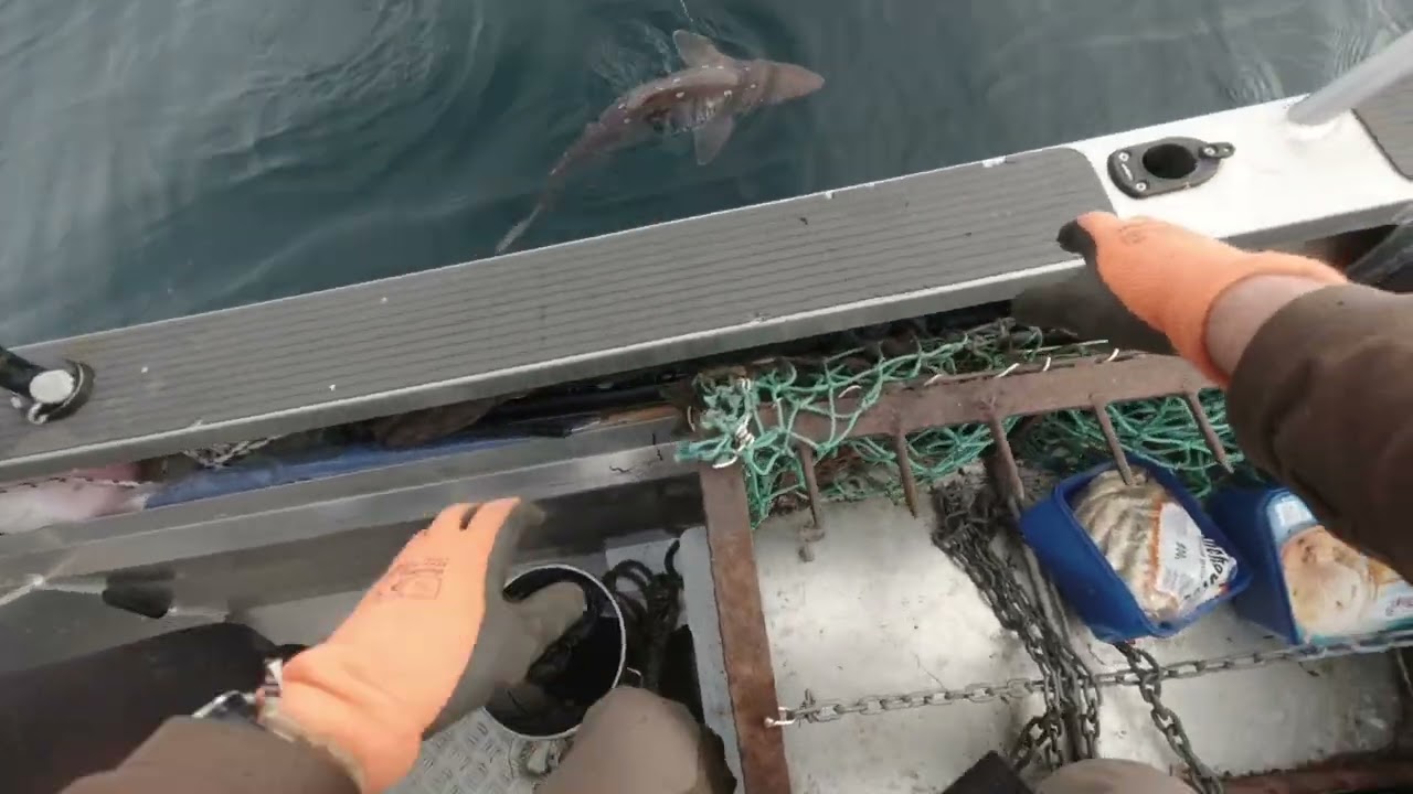 Fishing Trip out of Bluff