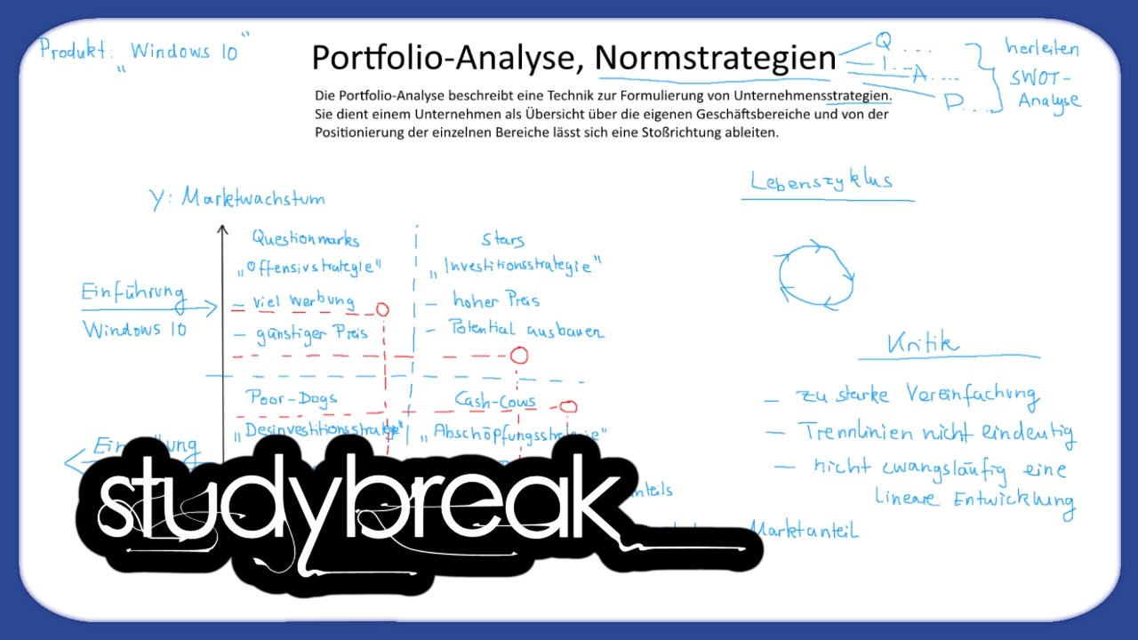 Portfolio-Analyse, Normstrategien | Unternehmensführung