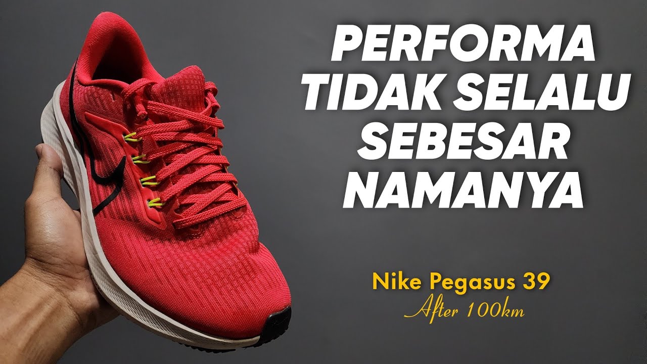 Nike Pegasus 39 After 100km
