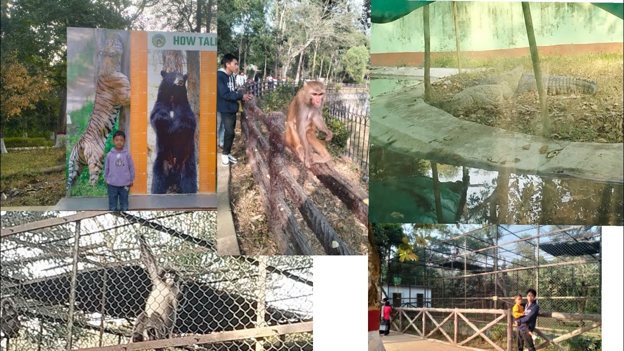 Shepahijala zoological park#video#viral#youtube#family