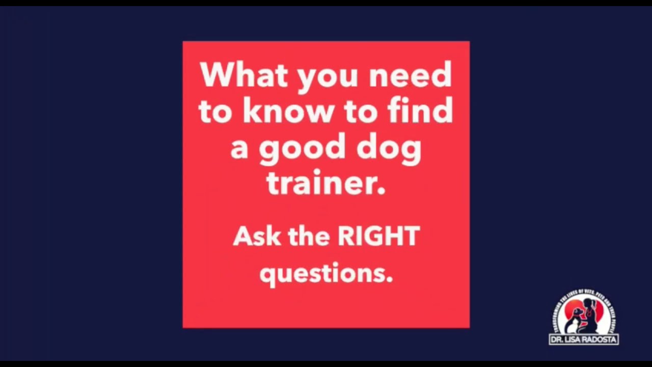 Choose the right dog trainer