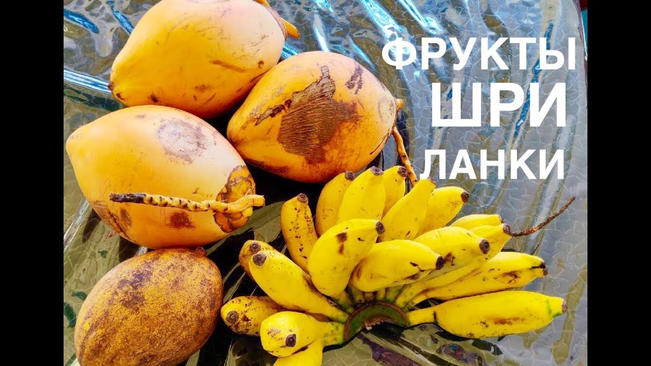 #9 ФРУКТЫ ШРИ-ЛАНКИ, ЦЕНЫ. Где купить хорошие фрукты в УНАВАТУНЕ НЕДОРОГО.