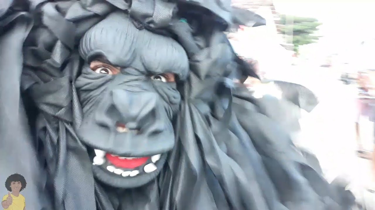 Ala Ursa Acorda Várzea Nova - Carnaval 2020 - Cultura Popular