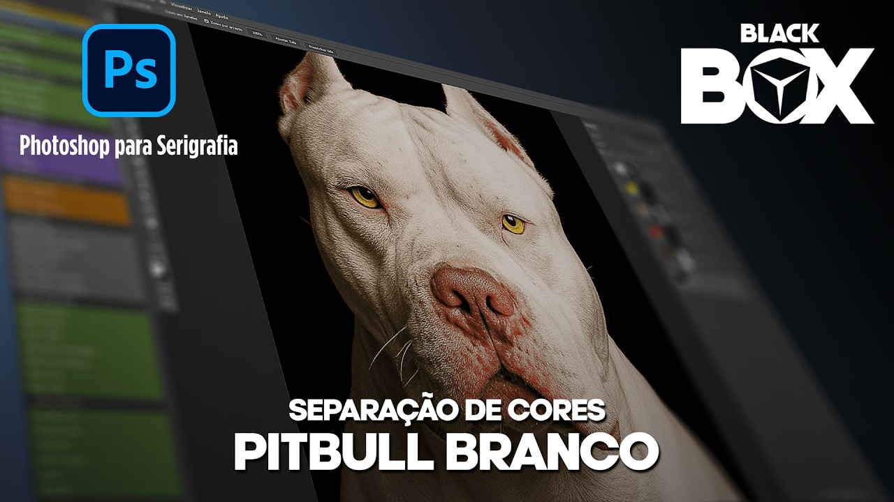 Separação de cores PITBULL BRANCO
