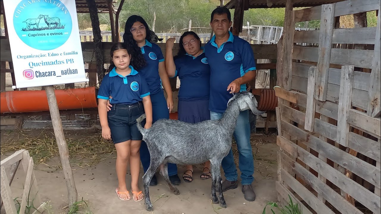 FUI CONHECER UM CRIADOR DE CABRAS ANGLO NUBIANA EM QUEIMADAS-PB CHÁCARA NATHAN 