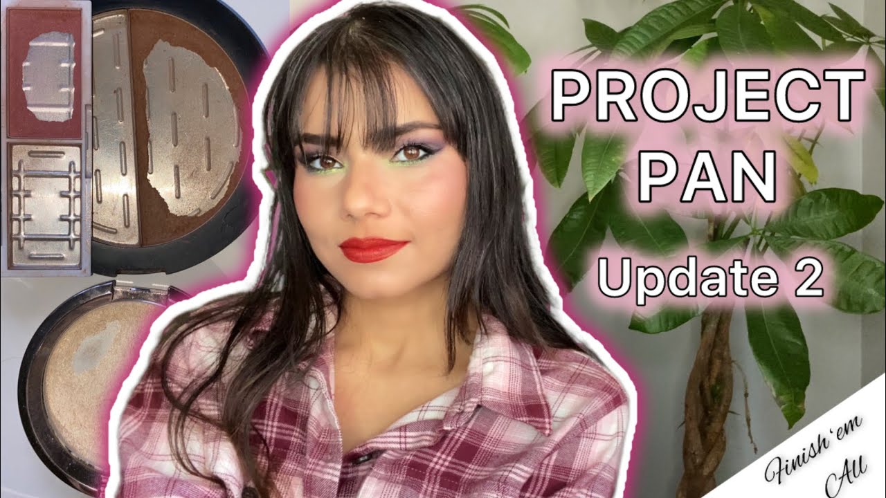 BIG PANS | PROJECT PAN Update 2 #projectpan2024
