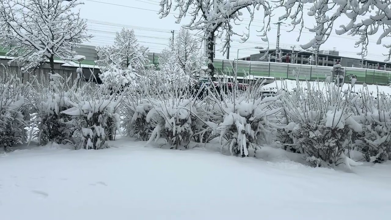 شاری سانت پۆڵتین لەنمسا 🇦🇹19.2.2026