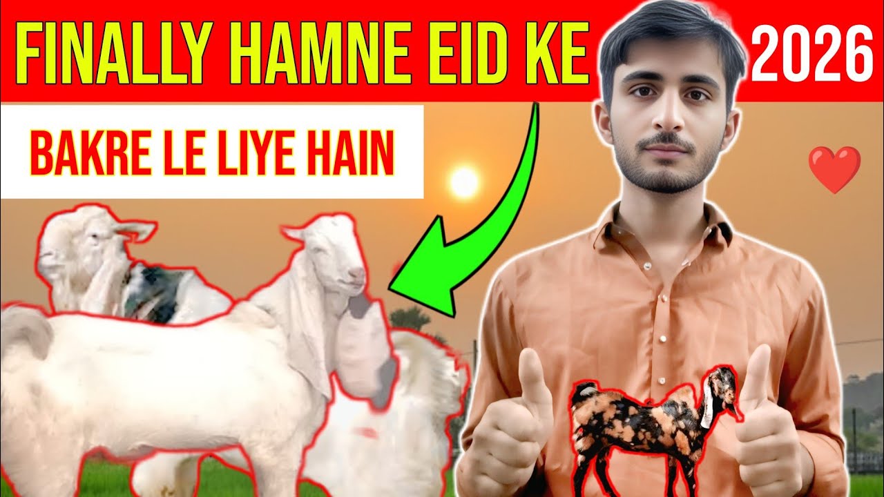 Finally We Bought Our Eid Goat 🐐🔥 | Bakra Eid 2026 Vlog | Real Life in Karachi