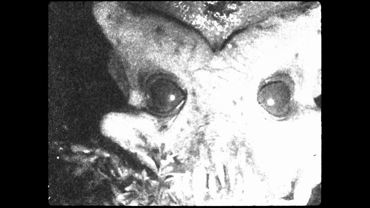 Deer Fang - Low Tide [official video]