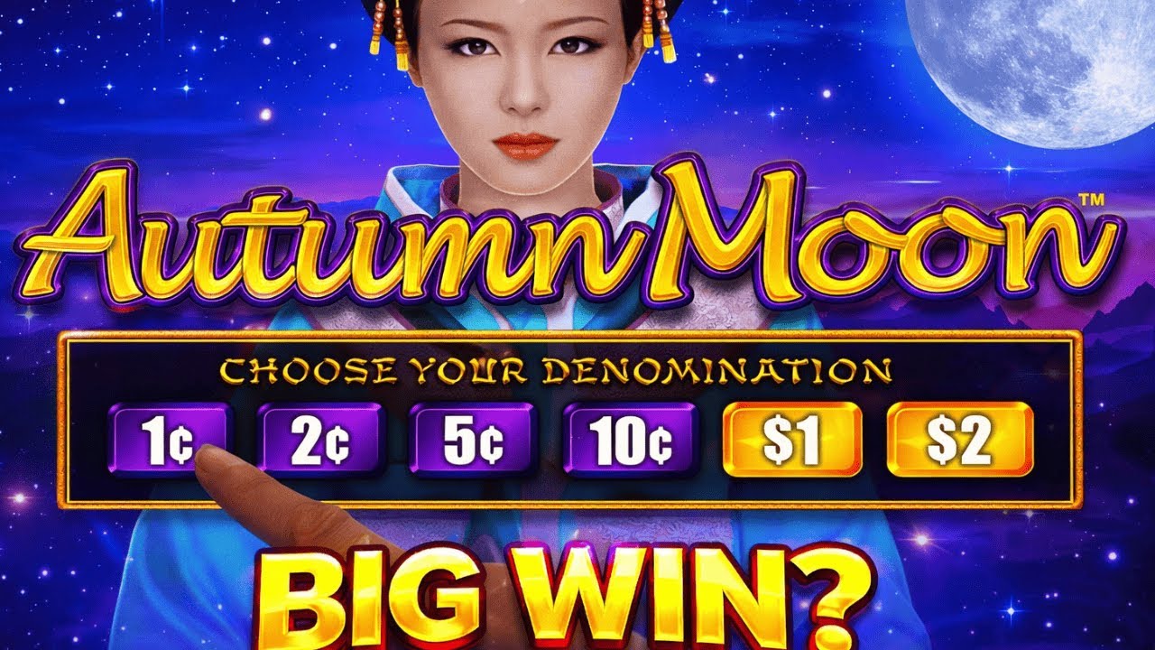 I Said “Bonus!” — Next Spin Did THIS 😳
