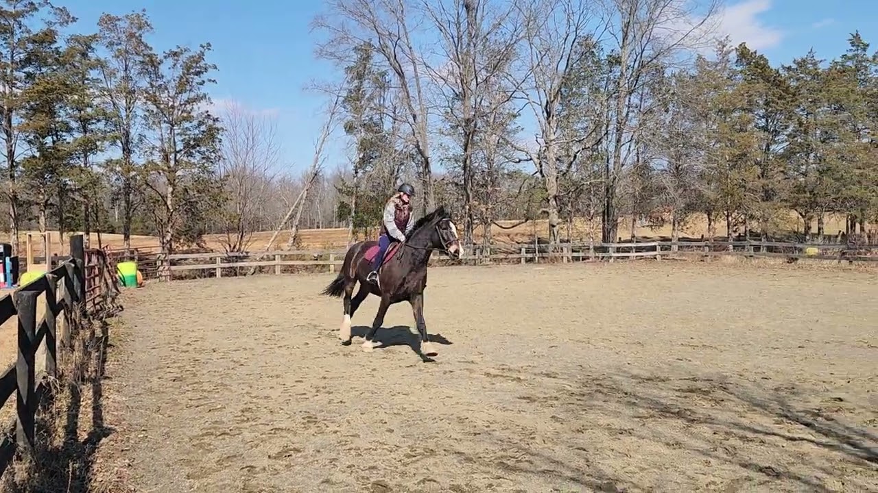 Canter - 20260301 132822
