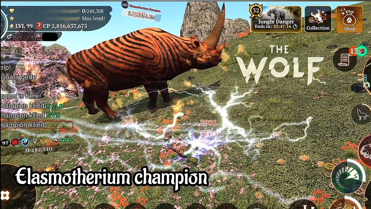 The wolf - Champions in featured 8❗