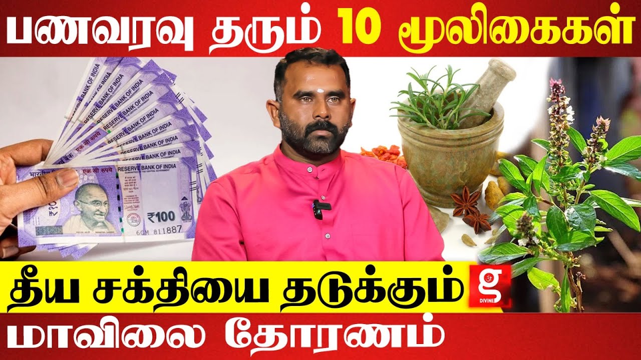 கோடிகளை கொட்ட வைக்கும் திருநீறுபச்சிலை | Mooligai Siddhar Mani Murugesan | 18 Siddhas