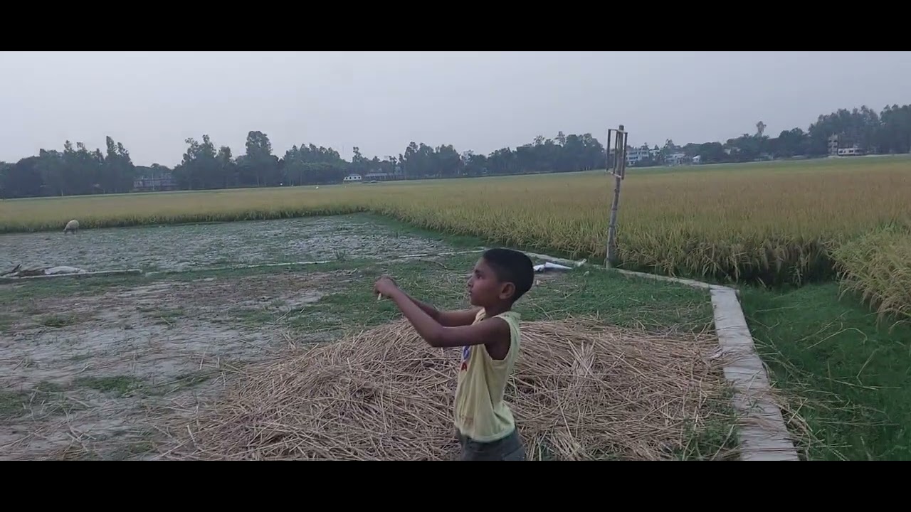 সেই ছোটবেলার কথা মনে পড়ে গেল