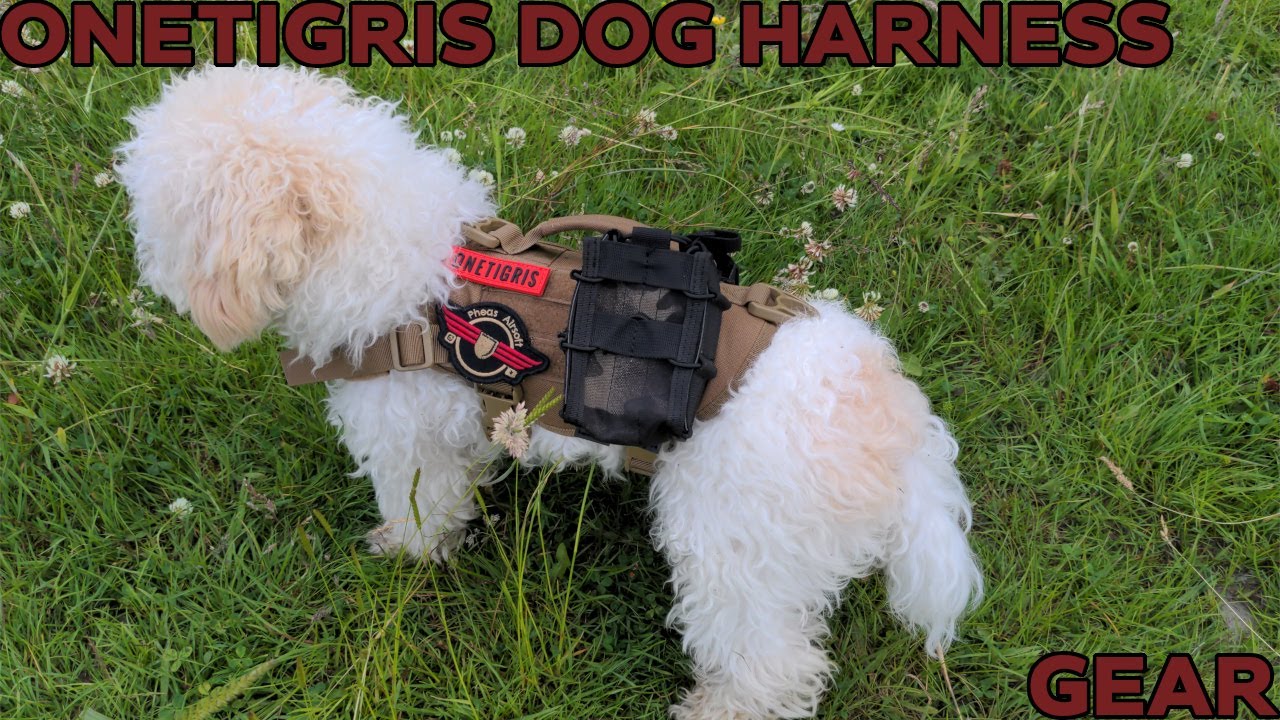 [GEAR][REVIEW] ONETIGRIS Tactical Dog harness - Meet Tactical Teddy (just for fun)