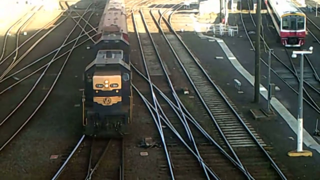 T364 T395 on steamrail special near Southern Cross