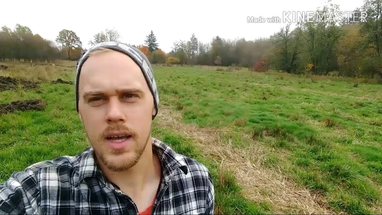 Natural Multiflora Rose Removal from Pasture