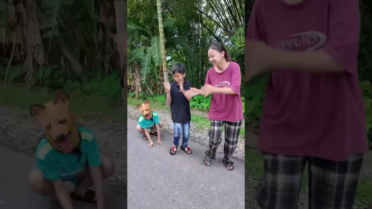 Con cho tai nang duoc nhan nuoi -Talented dog adopted 