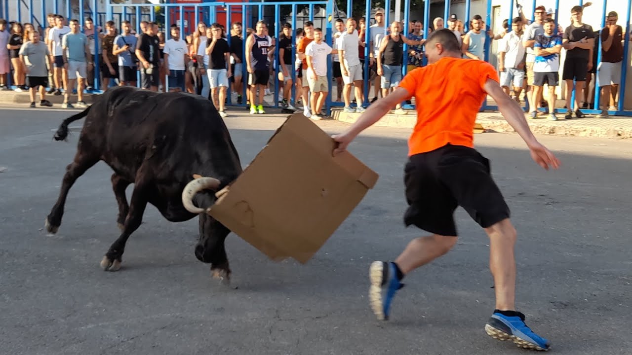 Buena tarde de Fernando Machancoses - Festejos Taurinos en Alfara del Patriarca 2025. PT Alfarense.