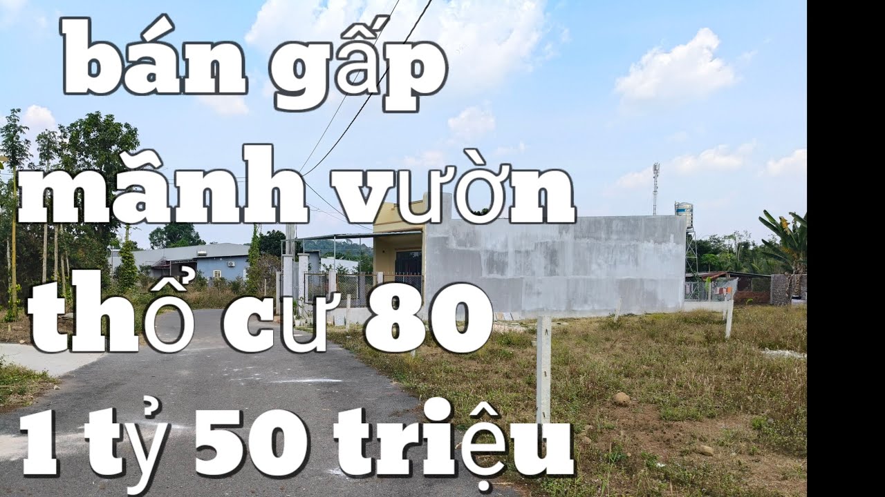 Cần tiền bán gấp, Mãnh vườn vịtrí thoáng mát, thổ cư 80, giá rất phù hợp đầu tư BRVT :LH: 0777444662