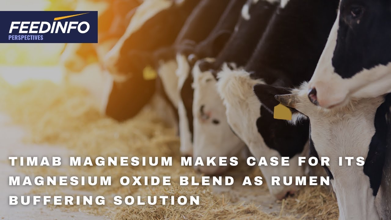 Timab Magnesium Makes Case for its Magnesium Oxide Blend as Rumen Buffering Solution