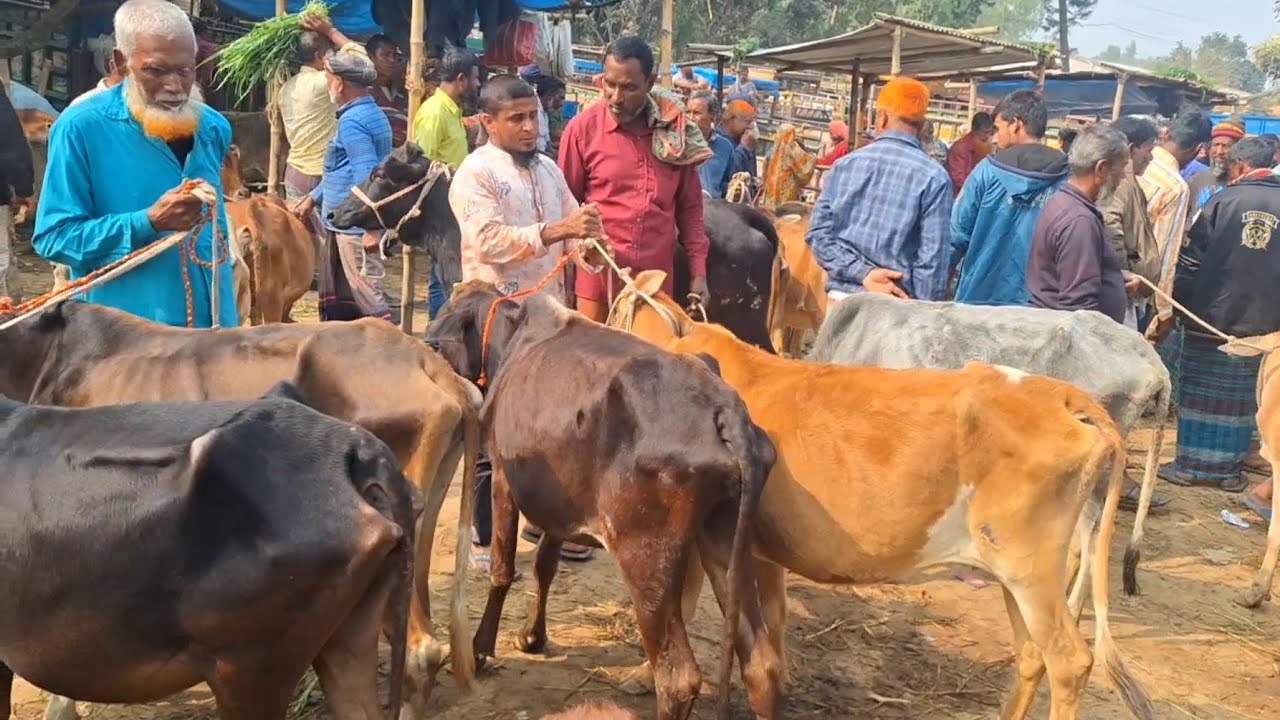 @আজ ৩ ফেব্রুয়ারী